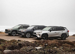 Đánh giá sơ bộ Toyota RAV4 2020, "con gà đẻ trứng vàng" của hãng xe Nhật