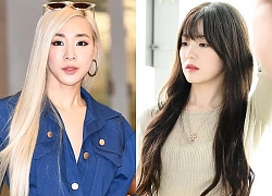 Irene tựa nữ thần, Tiffany (SNSD) áp đảo thần thái của Red Velvet và TWICE tại sân bay