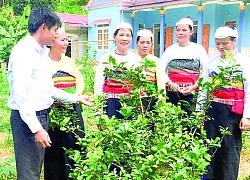 Phát huy vai trò người có uy tín trong đồng bào dân tộc thiểu số ở Thạch Thành