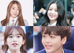 Sau 4 mùa Produce 101, đâu là công ty có nhiều gà được debut nhất?