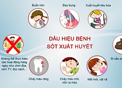 Sốt xuất huyết tăng đột biến ở Bà Rịa-Vũng Tàu, 3 người tử vong