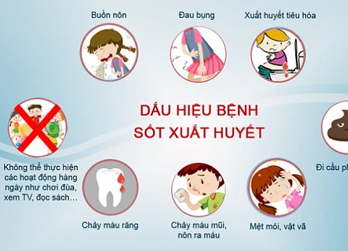 Sốt xuất huyết tăng đột biến ở Bà Rịa-Vũng Tàu, 3 người tử vong