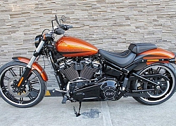 Top 10 xe Harley-Davidson đẹp nhất năm 2019