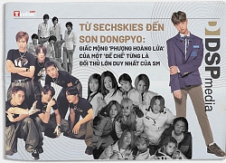 Từ Sechskies đến Son Dongpyo: Giấc mộng "phượng hoàng lửa" của một đế chế từng là đối thủ lớn duy nhất của SM