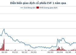 Vì sao EVN đấu giá cổ phần EVN Finance cao hơn gần 80% thị giá?