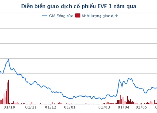 Vì sao EVN đấu giá cổ phần EVN Finance cao hơn gần 80% thị giá?