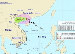 Chiều 2/8, bão số 3 giật cấp 12 đi vào vùng biển Quảng Ninh-Hải Phòng