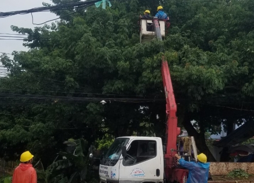 Điện lực tại Quảng Ninh, Hải Phòng hoàn tất chuẩn bị trước bão số 3