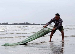 "Lọc" cát biển bắt ốc cườm bé tẹo như cúc áo, bỏ túi tiền triệu