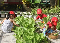 Mô hình Công viên thu nhỏ trong trường mầm non: Không khó để nhân rộng