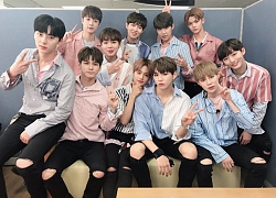 Produce X 101: 'Tất tần tật' về thông tin cá nhân, vai trò vị trí của 11 thành viên X1