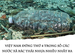 Thiên đường du lịch,thiên đường rác nhựa ?