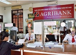 Agribank sẵn sàng cho "lộ trình" mới