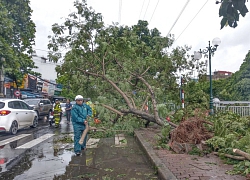 Ảnh: Dân Thủ đô vác cần ra Hồ Tây câu cá giữa trời mưa dông, gió giật