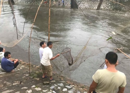 Chùm ảnh người dân Hà Nội ra sông Kim Ngưu bắt cá sau bão số 3