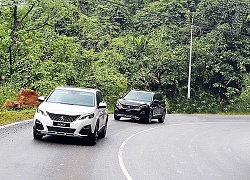 Sổ bảo hành ghi ắc-quy Đức, thực tế ắc-quy Trung Quốc: Thaco phải tăng thời gian bảo hành cho Peugeot 3008 và 5008