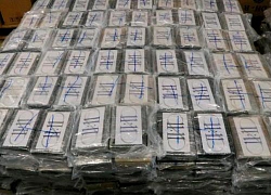 Đức thu giữ gần 5 tấn cocaine trong container đậu nành