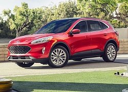 Ford Escape 2020 sắp quay trở lại Việt Nam?