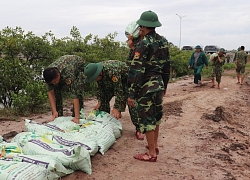 Hải Phòng: Chưa ghi nhận thiệt hại lớn sau bão số 3