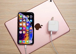 iPhone 11 sẽ được trang bị bút stylus cùng viên pin lớn hơn