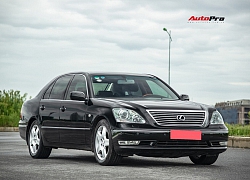 Lexus LS430 13 năm tuổi: Thừa sang trọng dù giá chỉ 650 triệu đồng