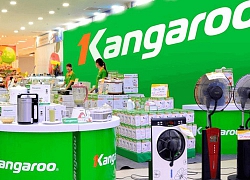 Máy lọc nước Kangaroo của chồng Á hậu Thanh Tú lãi khủng thế nào?