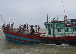 Nhiều tàu cá đánh bắt xa bờ bị hỏng máy trên vùng biển Quảng Ngãi