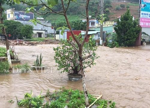 Sơn La: Bão số 3 gây mưa triền miên, hoa màu ngập úng, vỡ ao cá