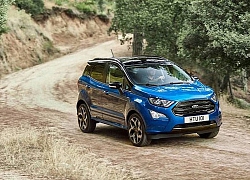 Trong 7 năm,thảm trải sàn của Ford EcoSport đều được làm từ chai nhựa thải!