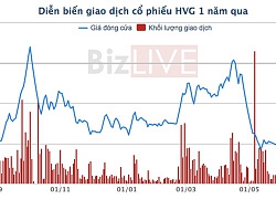 Doanh thu sụt giảm mạnh, thuỷ sản Hùng Vương báo lỗ 129 tỷ đồng trong quý III/2019