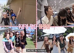 BlackPink hé lộ kỳ nghỉ tuyệt vời, 'tươi không cần tưới' trong '2019 BlackPink's Summer Diary (In Hawaii)' DVD