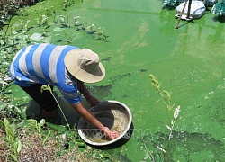 Chuyển hướng trong mùa lũ - Bài cuối: Thuận thiên để thích ứng lâu dài