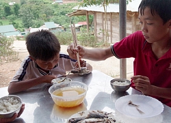 Điểm tựa vững chắc của học sinh "vùng khó"