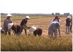 Du lịch trải nghiệm Hội An lên ngôi