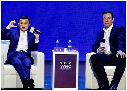 Elon Musk trò chuyện cùng Jack Ma: 'Loài người chỉ như con tinh tinh so với AI'