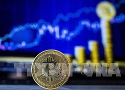 Hoạt động đầu cơ đồng bitcoin yếu đi khi giá giảm đáng kể