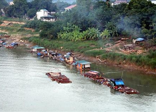 Mang loài "thủy quái" nhốt lồng trên sông Lô, nuôi không kịp để bán