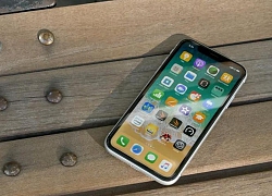 Đánh giá iphone XR của Apple: Sản phẩm giá trị và tốt nhất trong năm