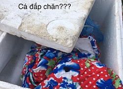 Nhờ bạn gái đi chợ, cô gái khẳng định trông thấy có người bán món "cá đắp chăn" và muốn mua về đãi người yêu