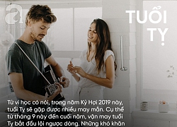 Từ giờ đến cuối năm, 3 con giáp này đại hỷ đại tài, công việc thuận lợi kéo theo tiền bạc dư dả, không muốn giàu cũng khó