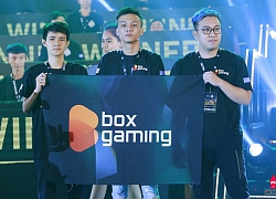 Phỏng vấn Box Gaming: "Để chiến thắng, một ngày chúng tôi luyện tập không dưới 10 tiếng"