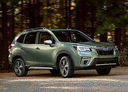 Subaru Forester 2020 giá từ 566,57 triệu khiến Mazda CX-5, Honda CR-V 'khóc thét'