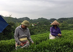 Thái Nguyên: Vay 3 triệu đồng, sau 1 năm đã thoát nghèo