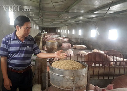 Thịt lợn sạch giá 50.000 đồng/kg hơi vẫn cháy hàng giữa dịch tả