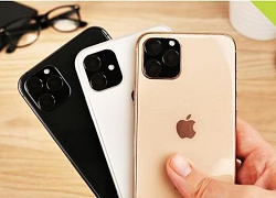 Tính năng Walkie Talkie của iPhone 11 bị loại bỏ chỉ vài tuần trước khi ra mắt