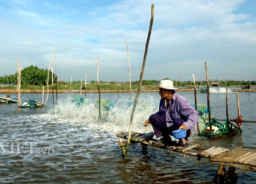 Tự thân con tôm không thể một bước "từ nhà ra cao tốc"