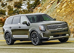 Vừa ra mắt, Kia Telluride mới đã dính lỗi triệu hồi