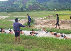 'Chuyện rồ' ở Chư Đăng Ya