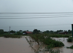 Đắk Lắk: Hàng ngàn ha hoa màu, hàng trăm nhà cửa chìm trong nước