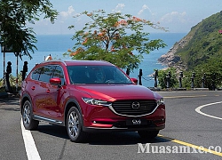 Đánh giá xe Mazda CX-8 2019 về thiết kế, thông số kỹ thuật và giá bán chính thức